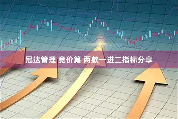 冠达管理 竞价篇 两款一进二指标分享