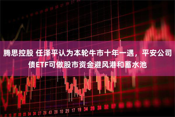 腾思控股 任泽平认为本轮牛市十年一遇，平安公司债ETF可做股市资金避风港和蓄水池