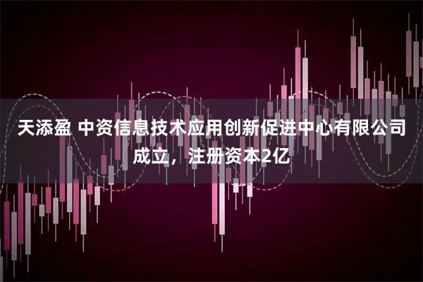 天添盈 中资信息技术应用创新促进中心有限公司成立，注册资本2亿