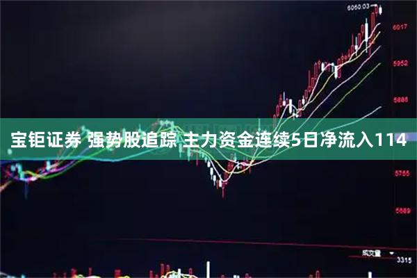 宝钜证券 强势股追踪 主力资金连续5日净流入114