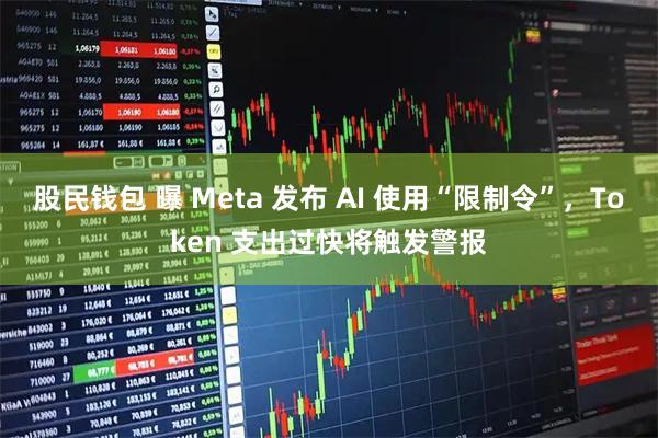 股民钱包 曝 Meta 发布 AI 使用“限制令”，Token 支出过快将触发警报